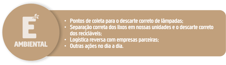 Uma imagem falando sobre o signifido da letra E dentro de ESG